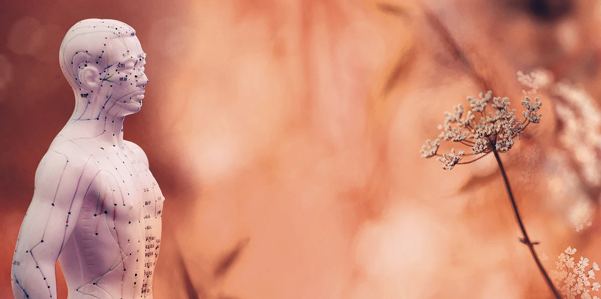 <p><a target="_blank" rel="noopener external" href="https://www.rehamed-altenburg.de/kursplan.html">Exclusiv heute</a></p>