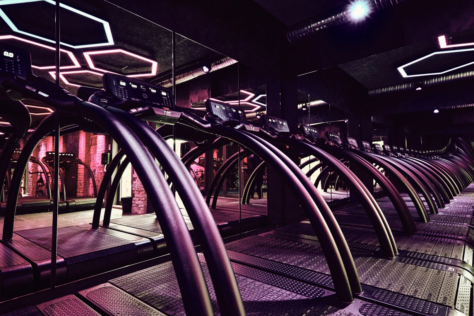 <h5>High-Performance Cardio</h5>