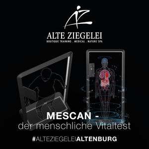 mescan- durchschaue dich selbst