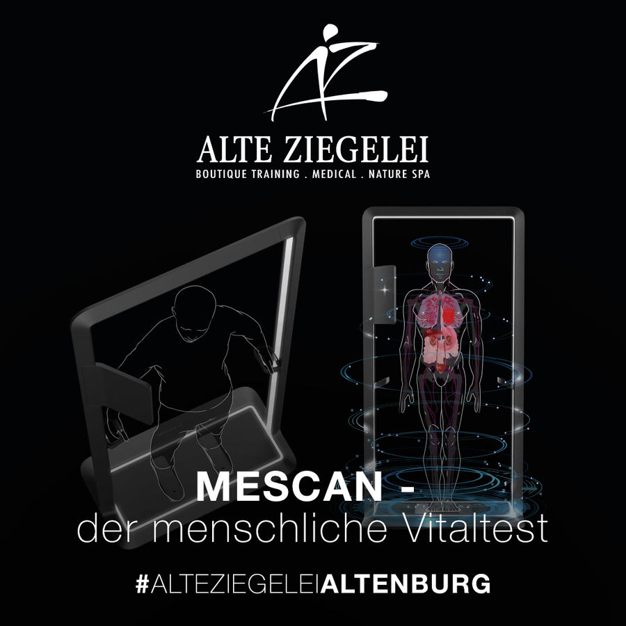 mescan- durchschaue dich selbst